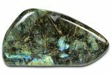 Flashy, Free-Standing Polished Labradorite - Madagascar #325162-1